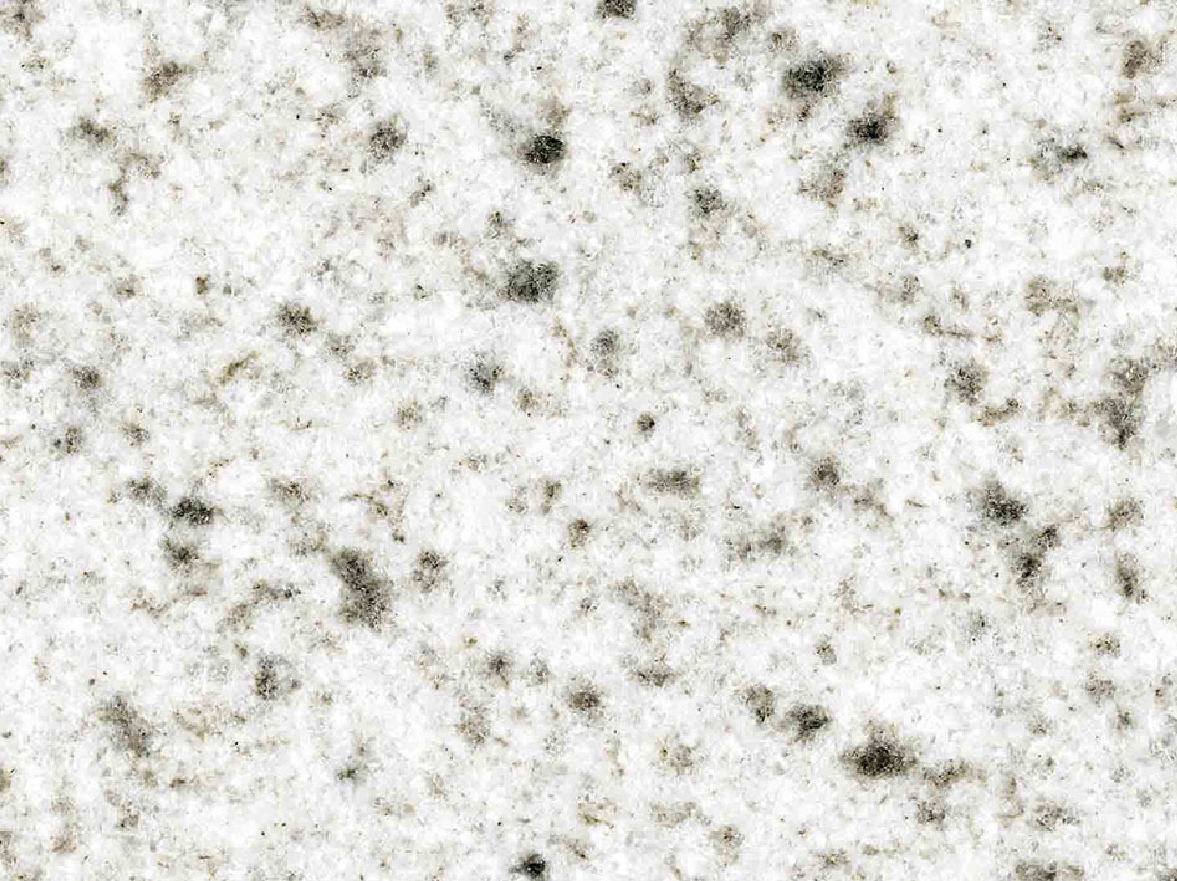 Premium Quality Bethel White Hard Rock Slabs - 11909