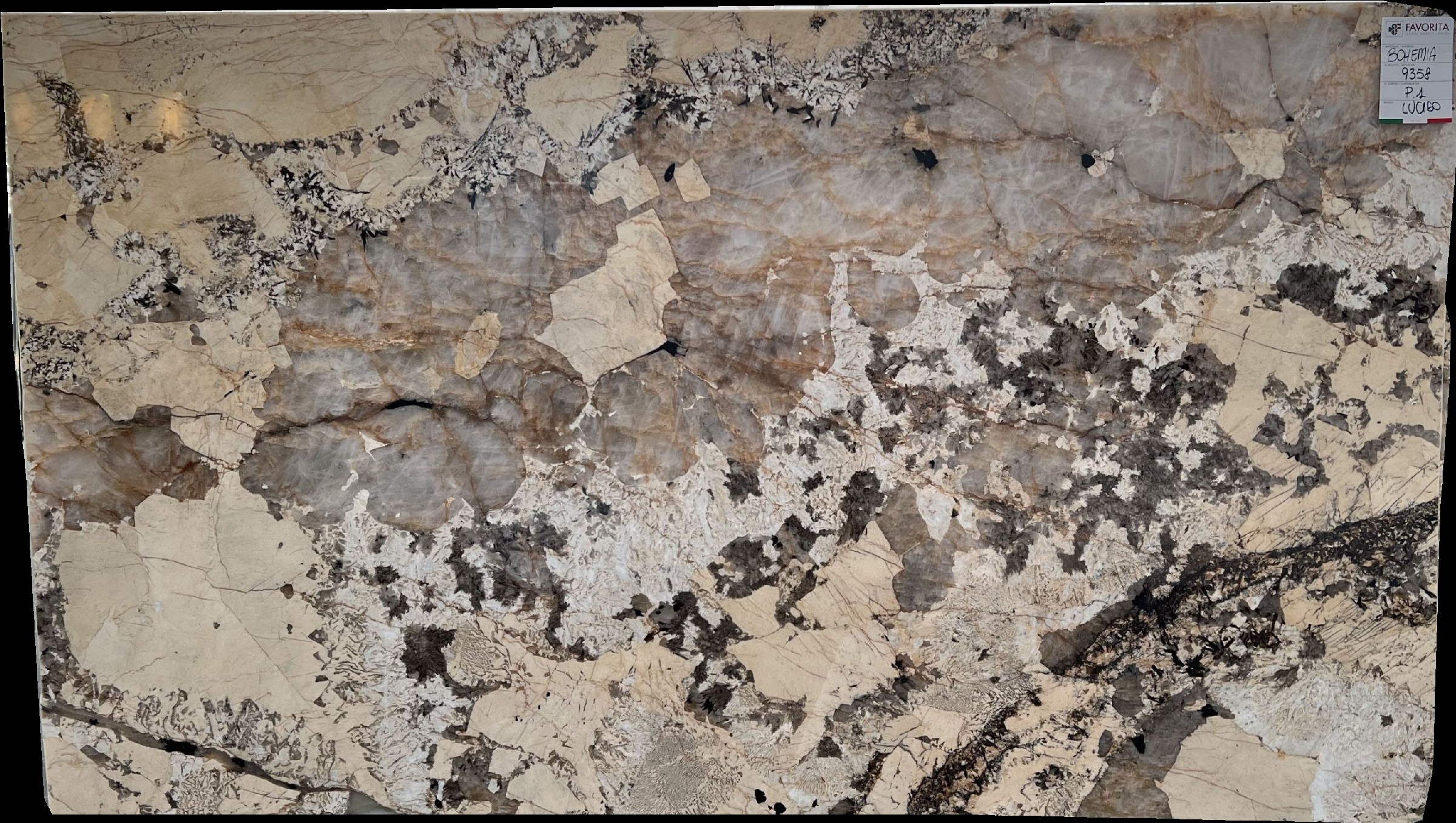 Custom Cut Bohemi Marble Slabs - 9385 - DDL