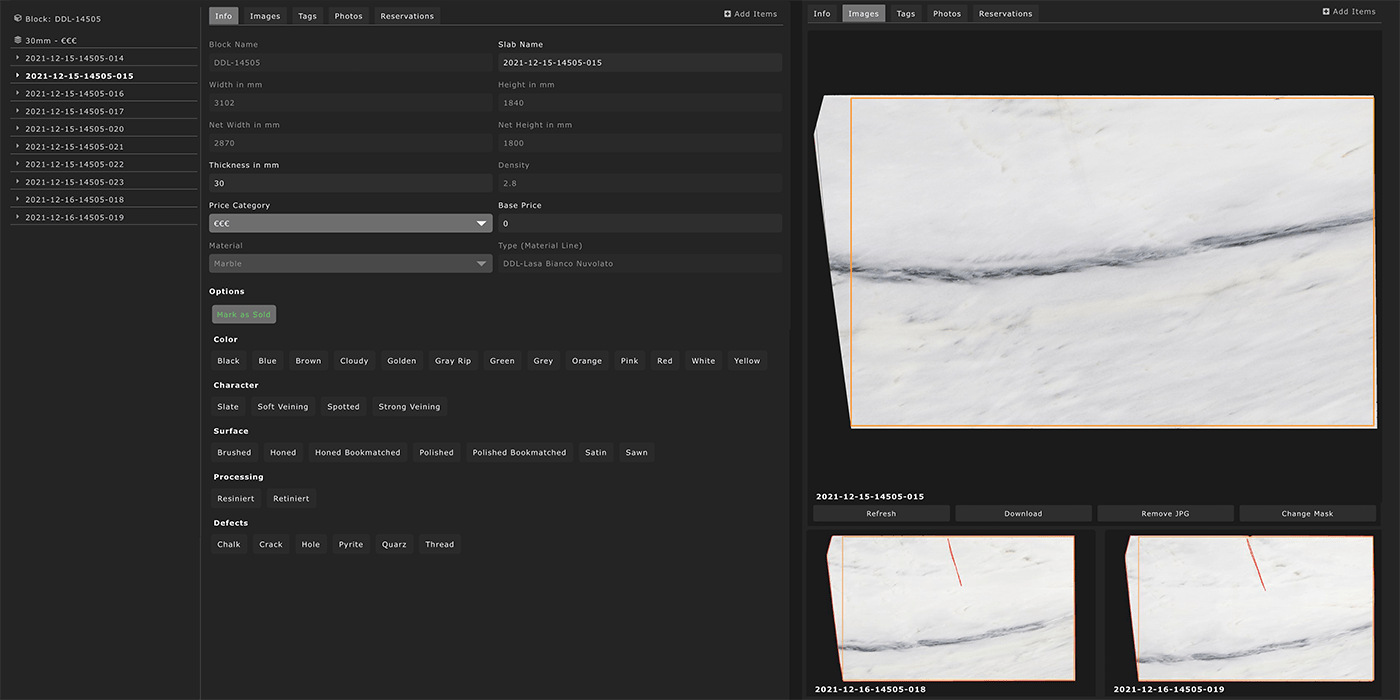 Digitized marble slab