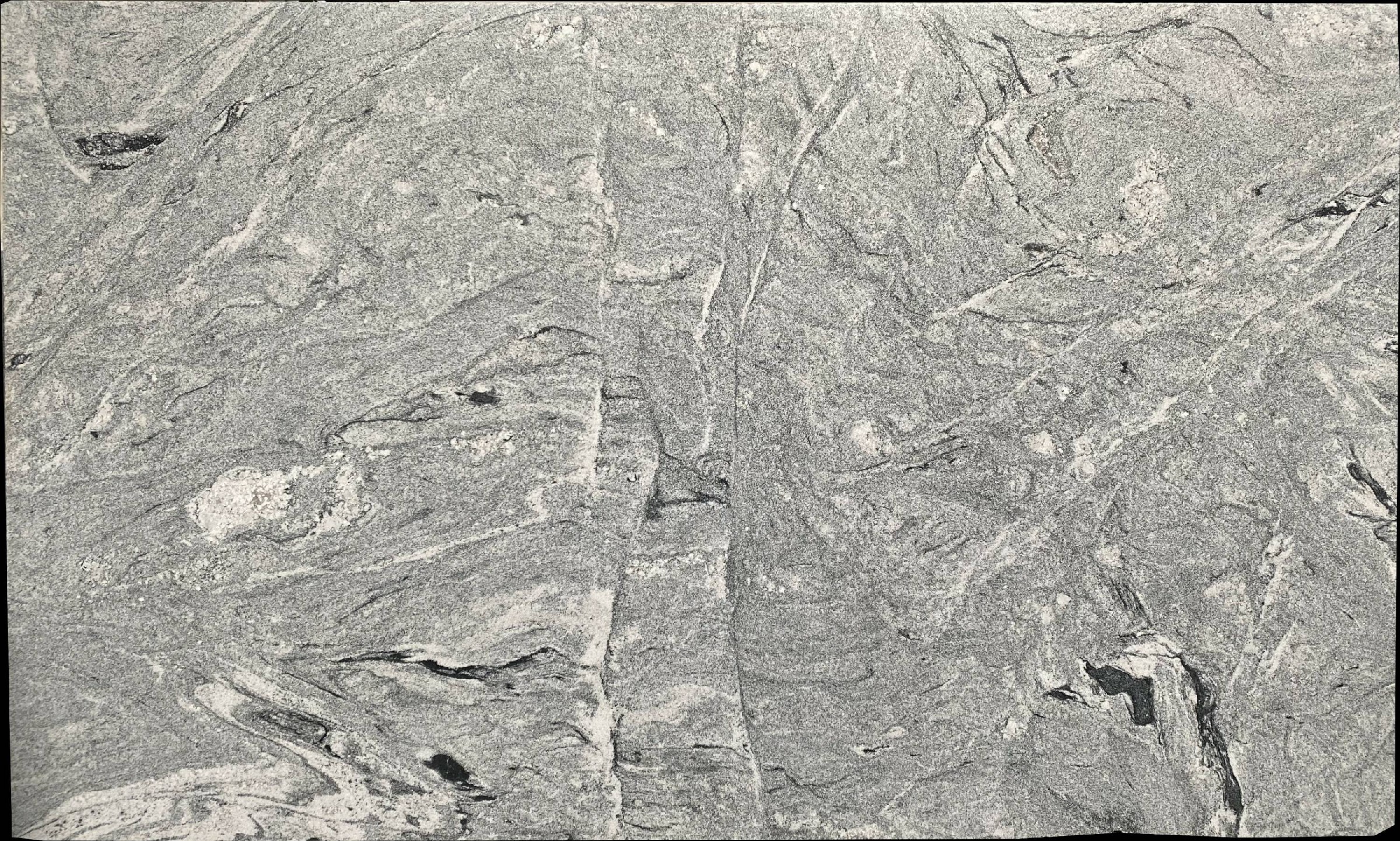 Viscont White Granite Slabs for Flooring - E04016 - DDL