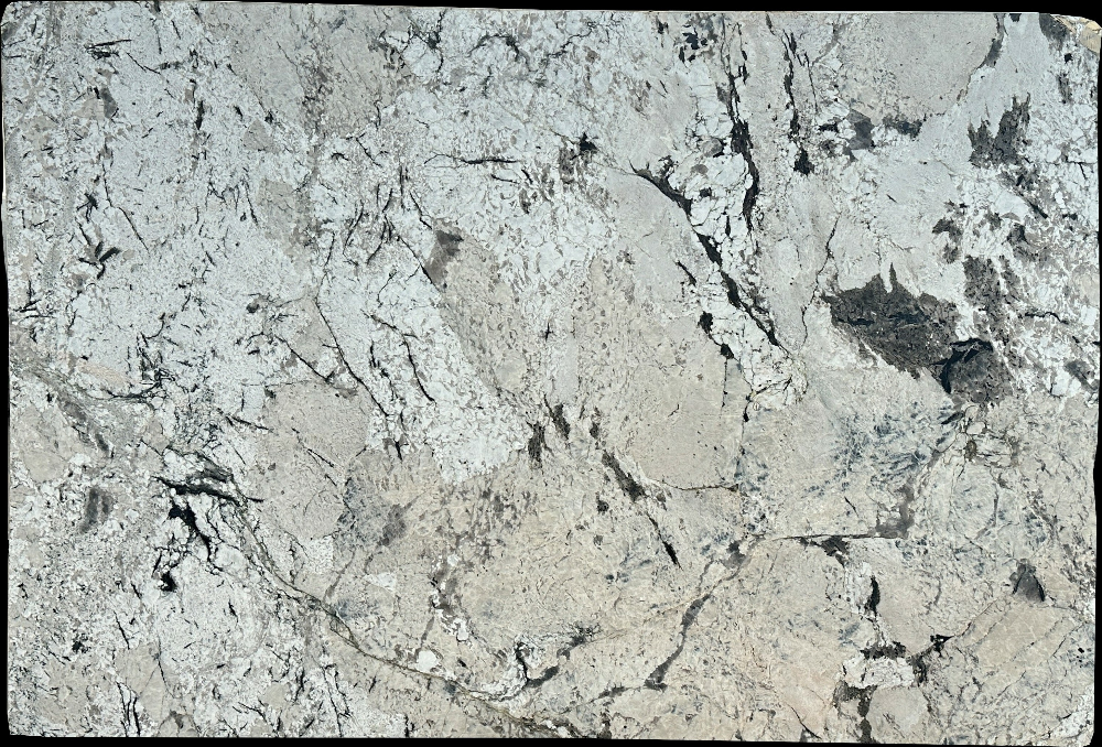 Champana White Hard Rock Slabs Distributor - E04868