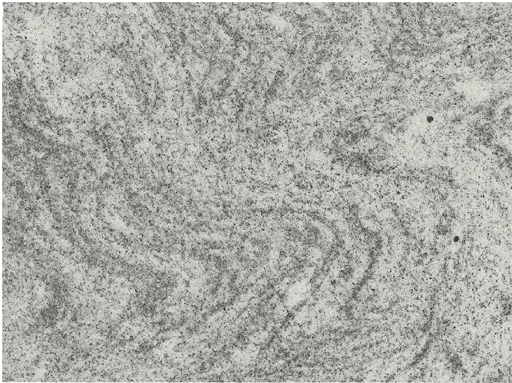 Custom Cut Silver Cloud Hard Rock Slabs Grey - 11081