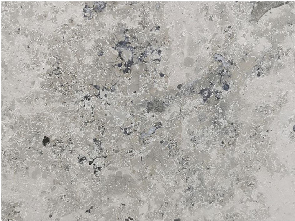 Jura Grau Marble Slabs for Countertops Grey - R036008