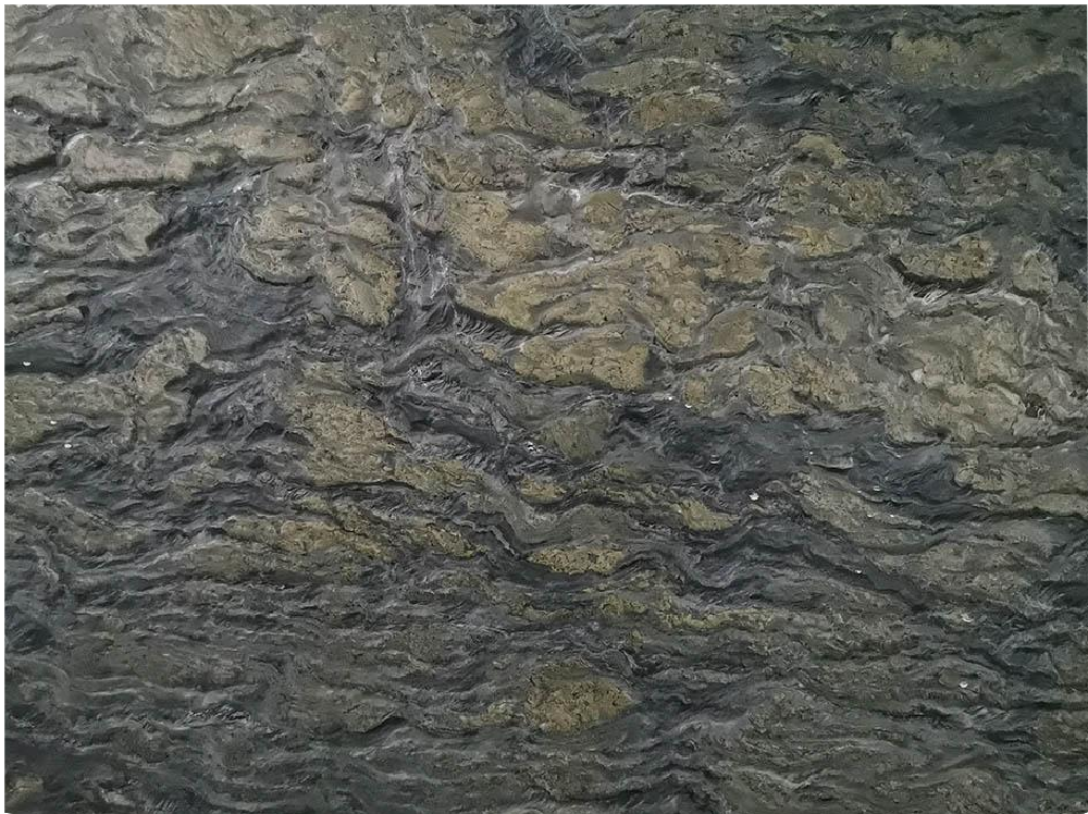 High Quality Verde Picasso Quartzite Slabs Green - 22R-65