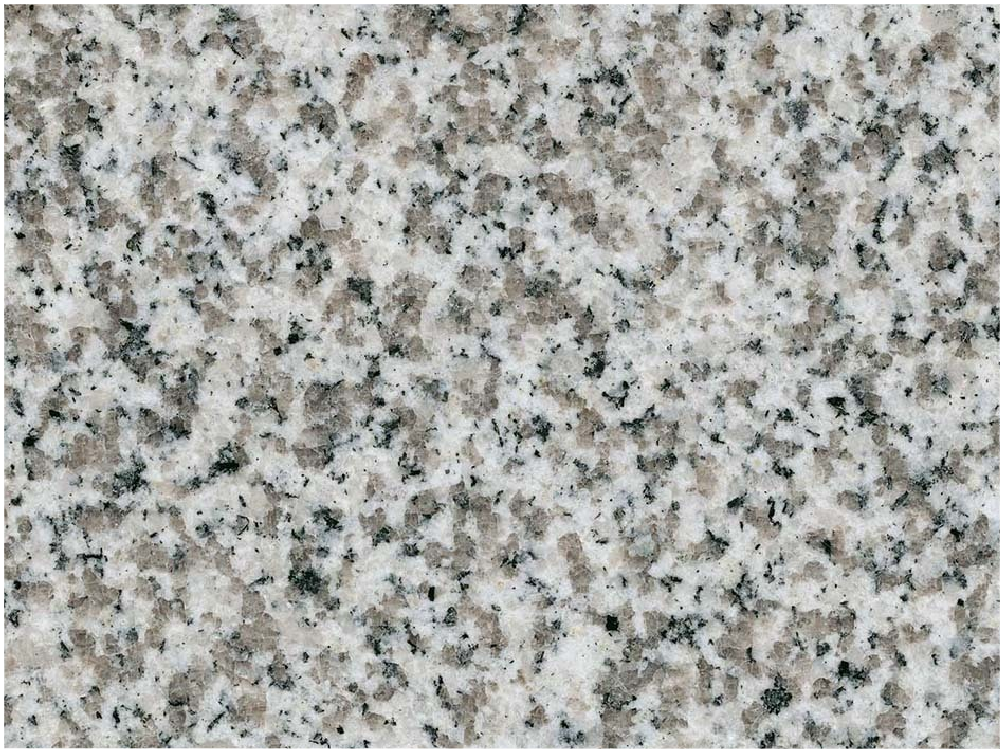 High Quality Padang Tg67 Sardo Bianco Hard Rock Slabs
