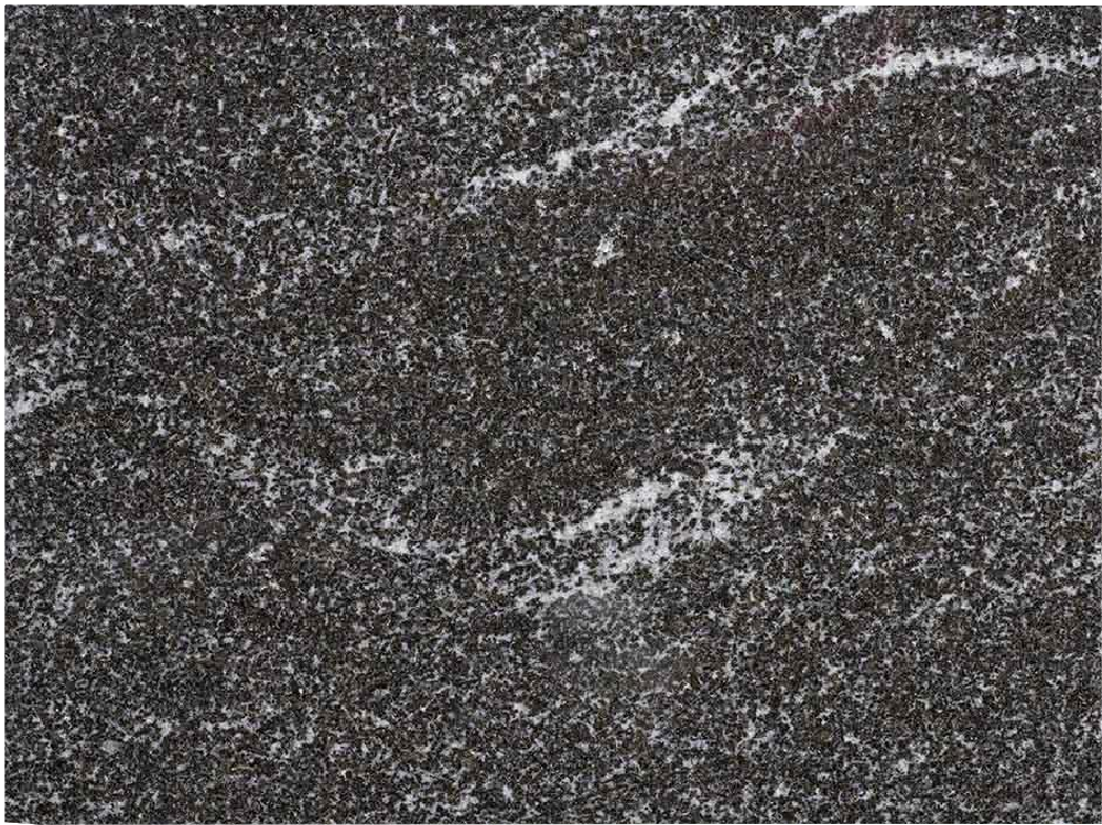 Virginia Black Hard Rock Slabs for Vanity Tops - 22252