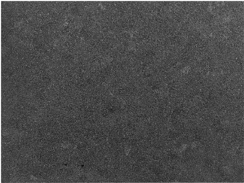 Alexander Black Hard Rock Slabs Wholesaler - 500S040322