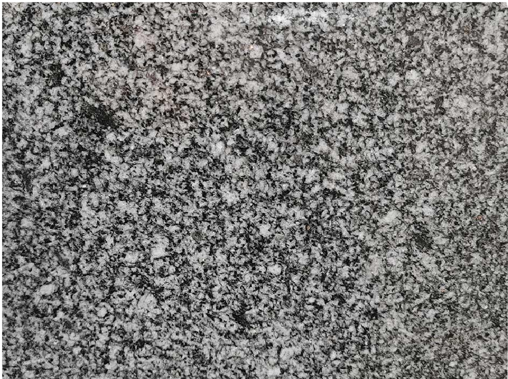 Negro Tulipa Hard Rock Slabs Manufacturer Grey - 54920
