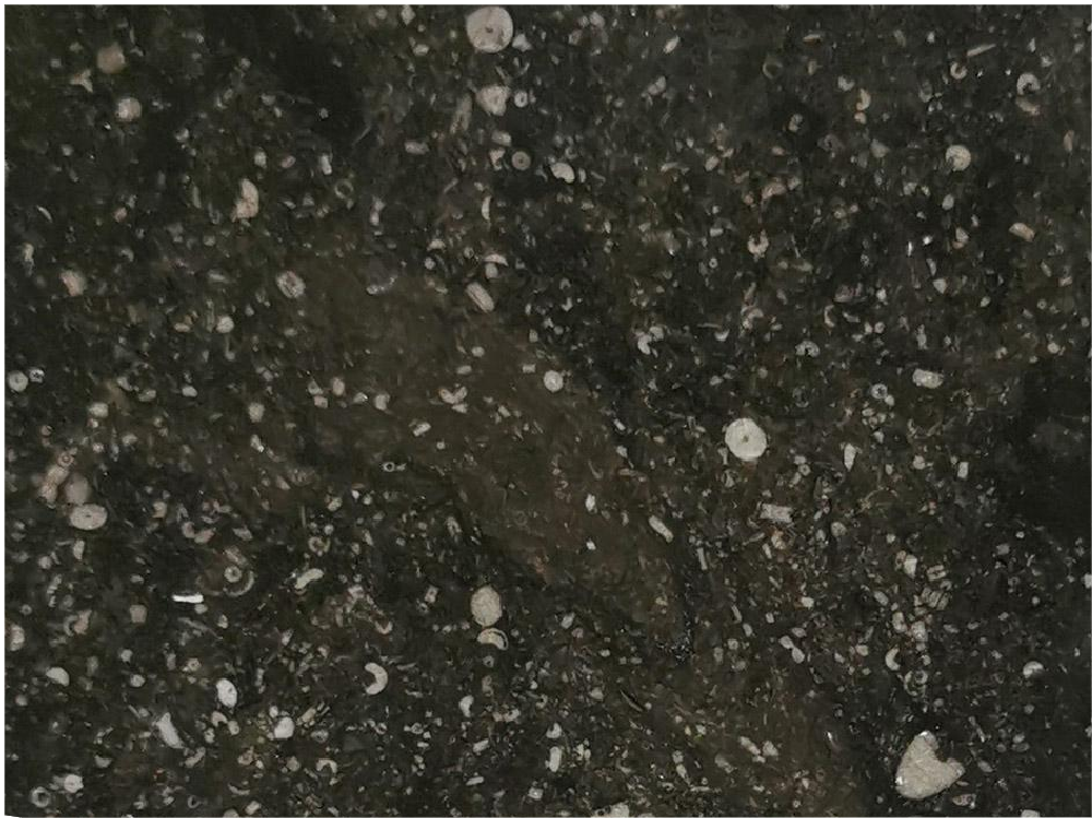 Premium Belgisch (granit) Kalkin Marble Slabs Black
