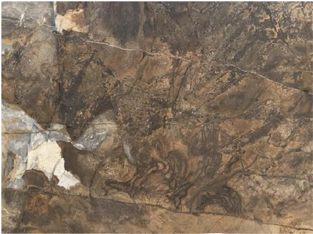 Premium Danilo Marble Slabs Brown - 7230PO - DDL