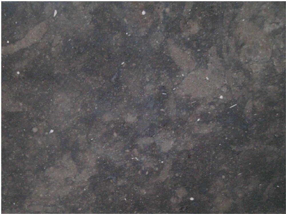 San Vicente Marble Slabs Wholesaler Grey, Brown - R00467