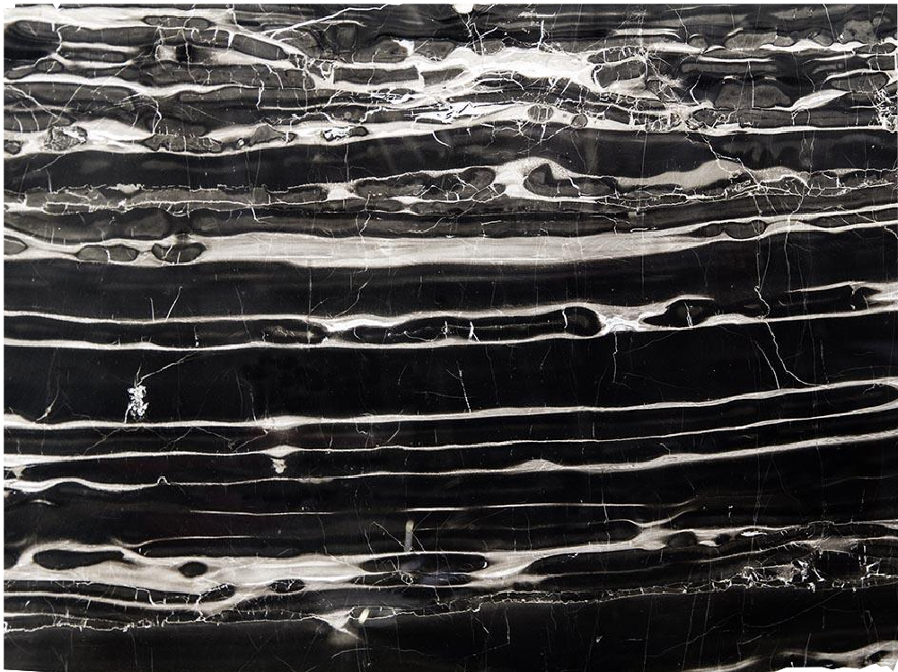 Portoro Silver Marble Slabs Distributor Black - 8834