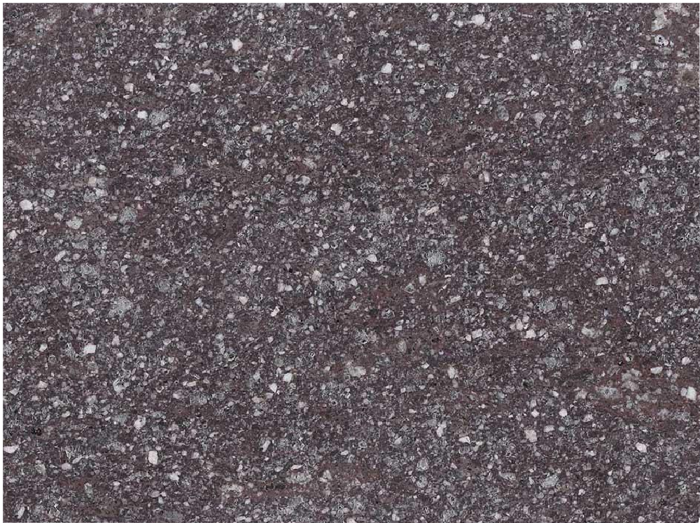 Porfido Valcamonica Porphyry Slabs for Construction