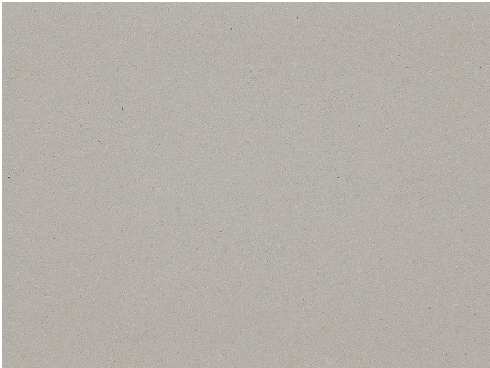 4004 Raw Concrete Quartzite Slabs Distributor Grey