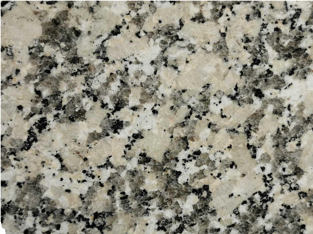 Premium Mondariz Crema Julia Other Slabs Beige - 3-1119