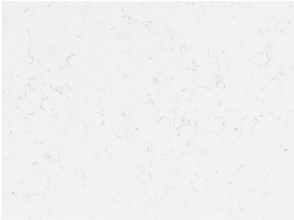 Premium Quality Cu100 Venato Supremo Other Slabs White