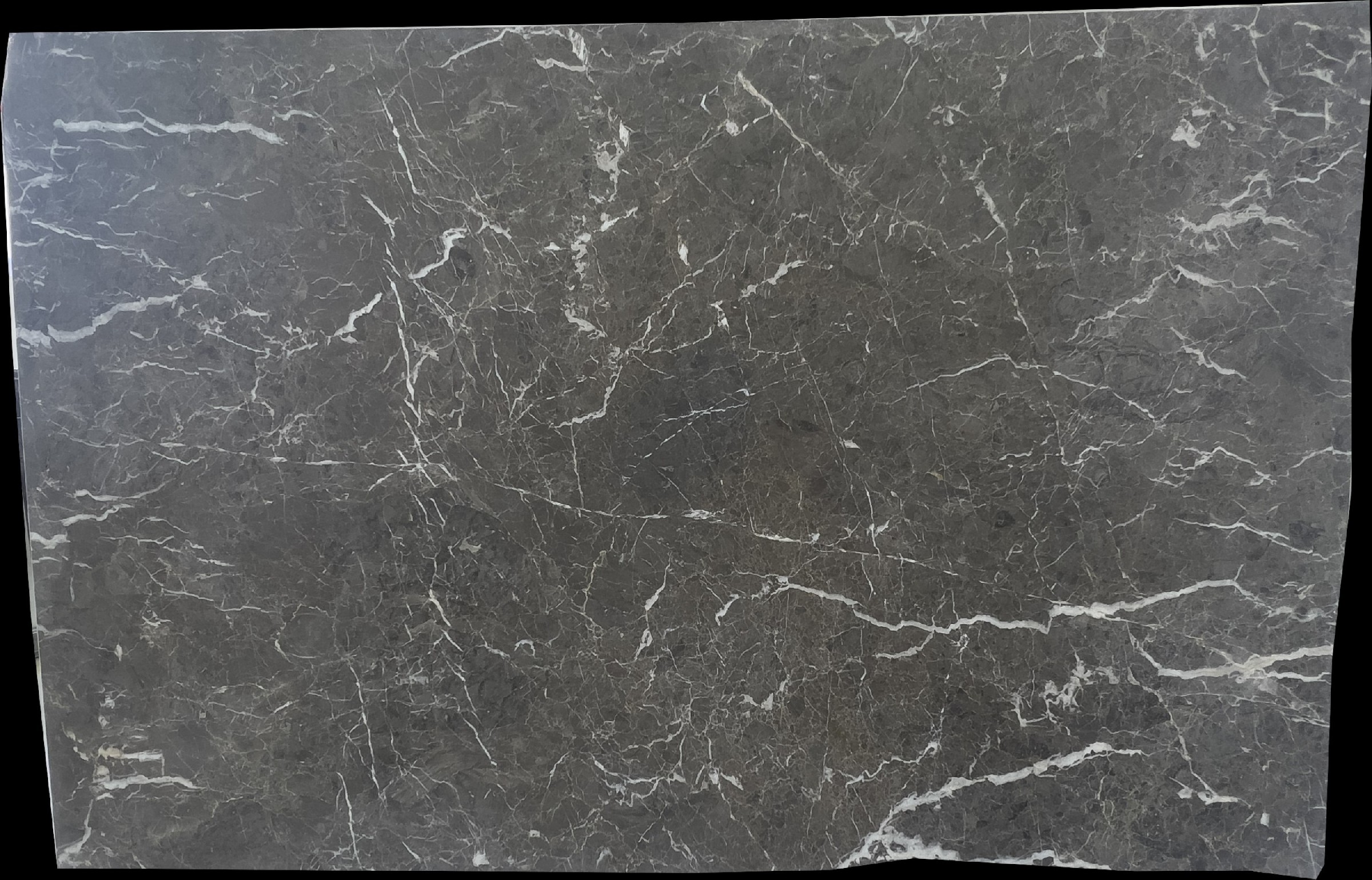 Pietra Grigia Marble Slabs for Countertops Soft Veining