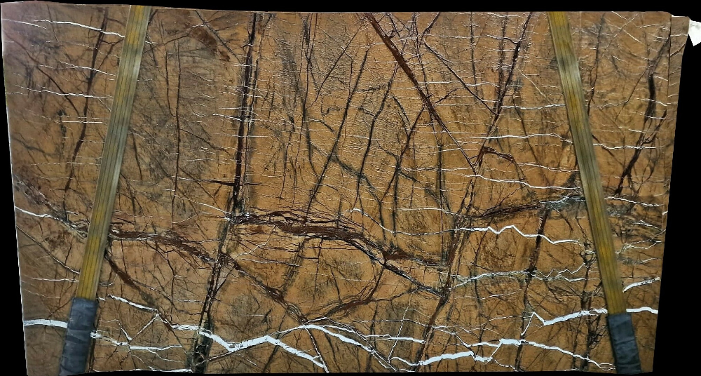 Rain Forest Gold Marble Slabs Manufacturer Strong Veining