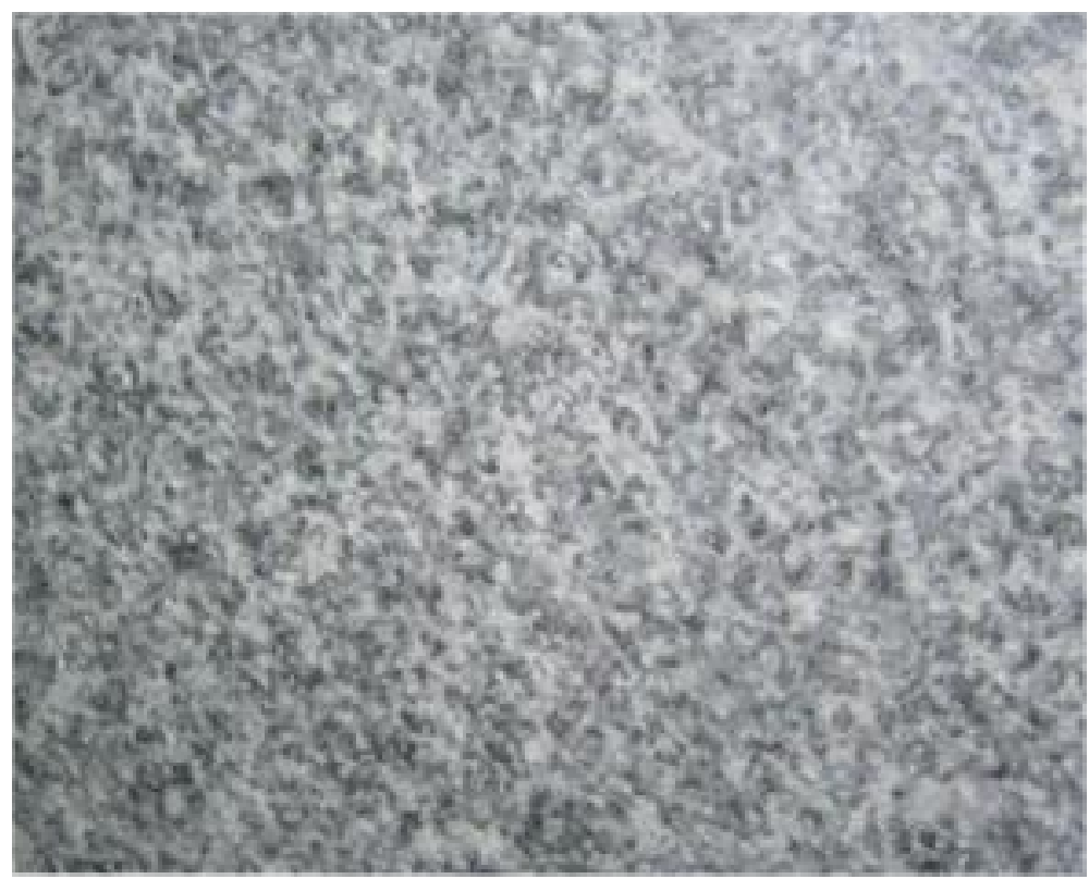 Serizzo Scuro Marble Slabs Grey - 7856 - DDL