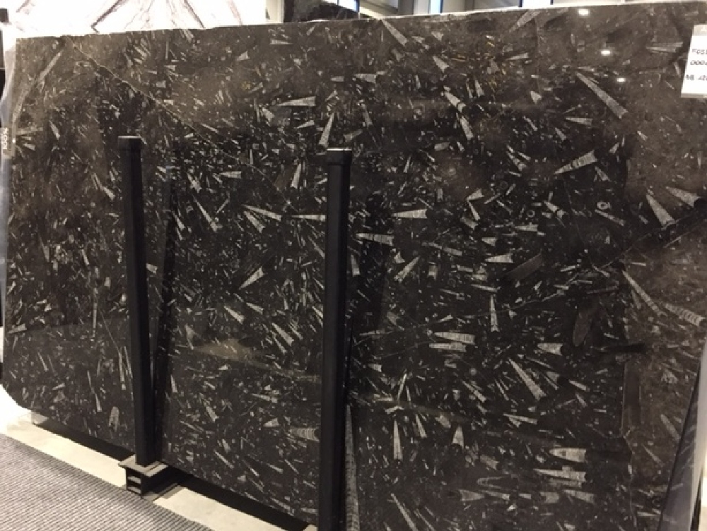 Marmor Rohplatten Händler Schwarz - Fossil Black - DDL