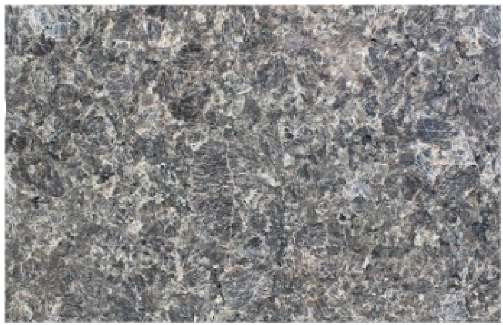 Tropic Brown Hard Rock Slabs Distributor - 45 - DDL