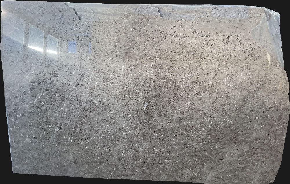 Lumachella Marble Slabs Distributor Spotted Beige - DDL