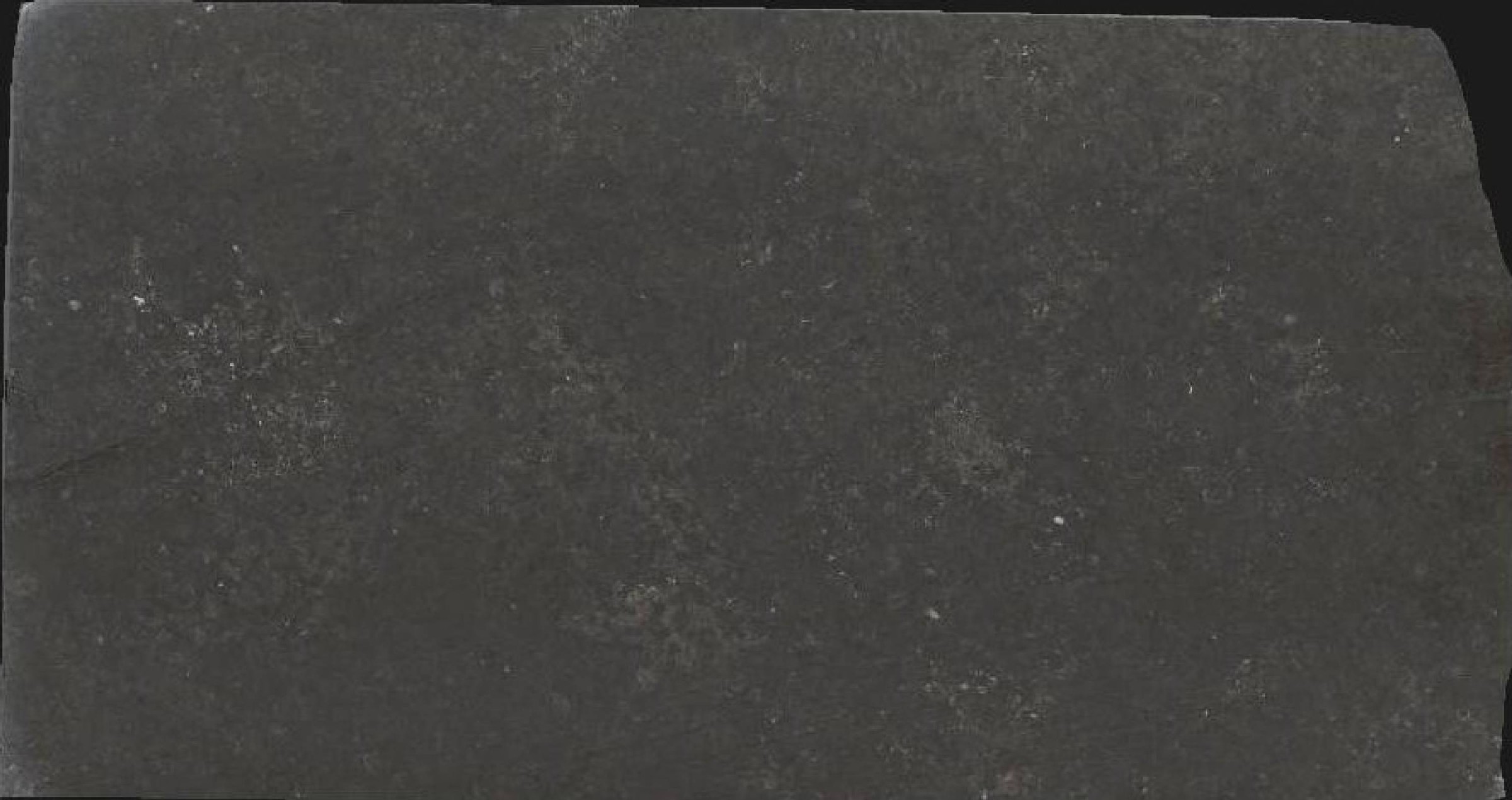 Nero Belgio Marble Slabs for Flooring Grey, Black - DDL