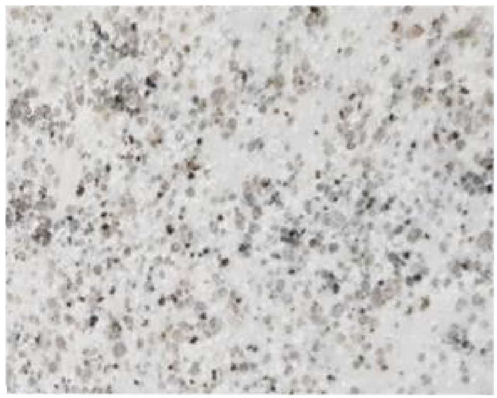 2cm !NDIVIDUAL Marble slabs