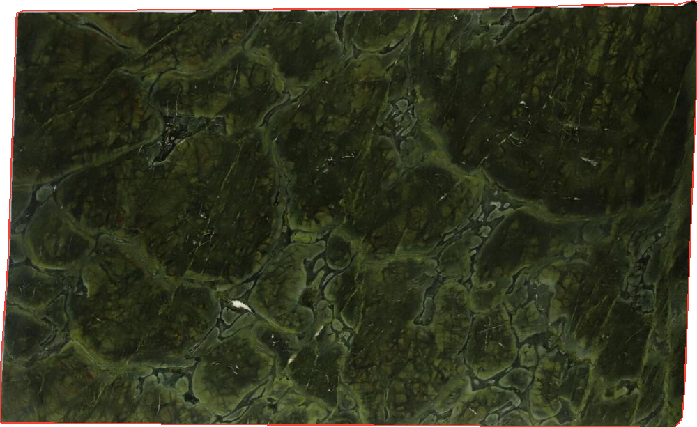Premium Quality Vitoria Regia Quartzite Slabs Green