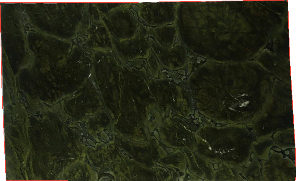 2cm Vitoria Regia Quartzite slabs