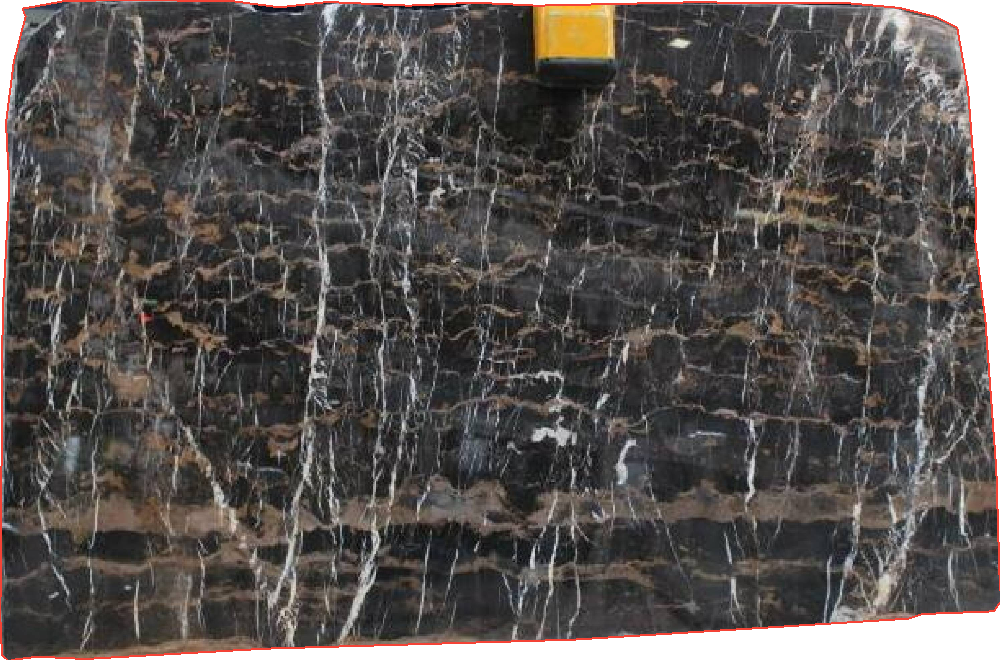 Marble Slabs for Wall Cladding Black - Port Laurent Typ Black & Gold