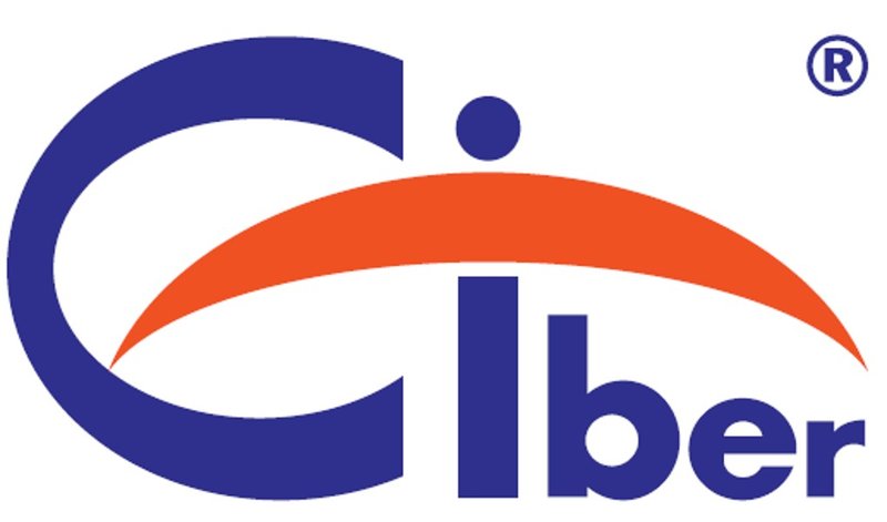 CIBER S.R.L.
