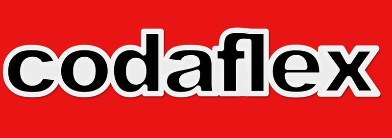 CODAFLEX ITALIA SRL