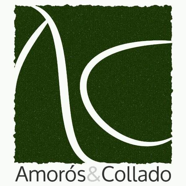 NATURAL STONE PRODUTCS AMOROS&COLLADO S.L.
